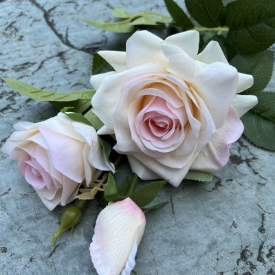 Real-touch Queen Rose