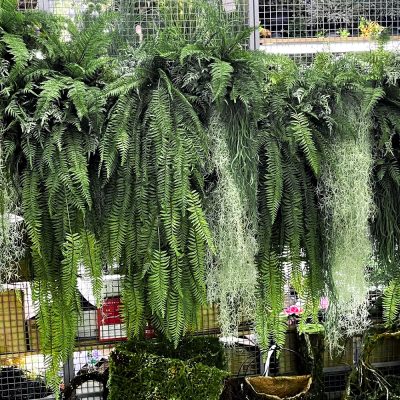 Artificial Persian Fern
