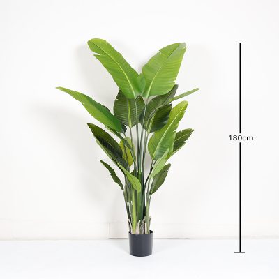 O1CN018BUSRk1g9OWwIAU0U_!!2712764099-0-cib Faux Traveller's Palm/Canna