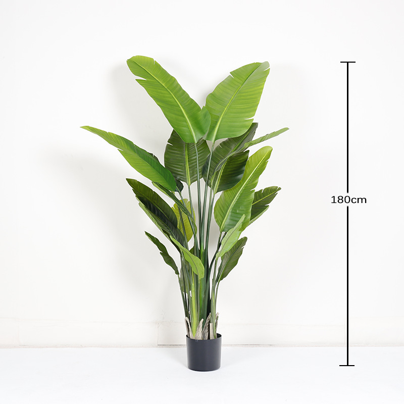 O1CN018BUSRk1g9OWwIAU0U_!!2712764099-0-cib Faux Traveller's Palm/Canna