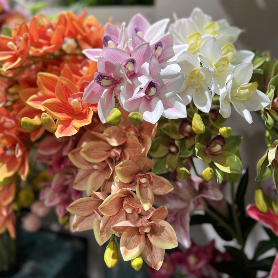 10-Bloom Real-Touch Cymbidium Orchid