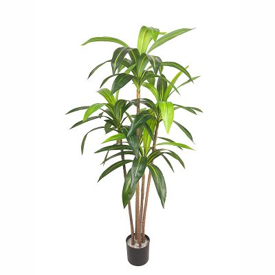 Faux Dracaena Fragrans/ Corn Plant