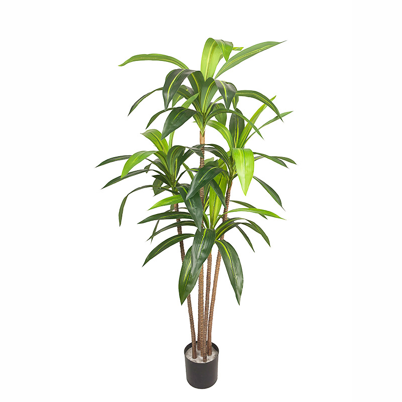 Faux Dracaena Fragrans/ Corn Plant