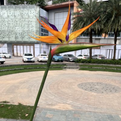 5 Color Options| Real Touch Artificial Bird of Paradise
