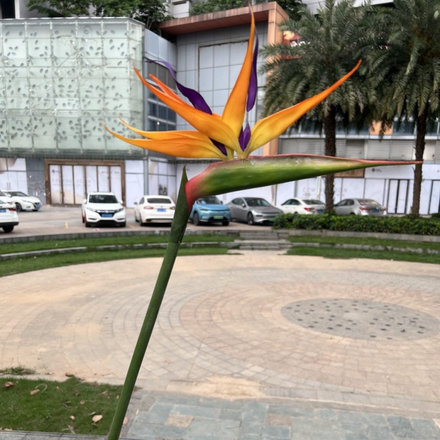5 Color Options| Real Touch Artificial Bird of Paradise