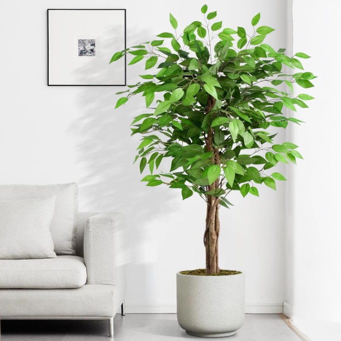 Faux Miniature Banyan Tree