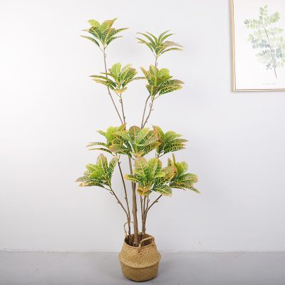 Artificial Golden Variegated Ficus