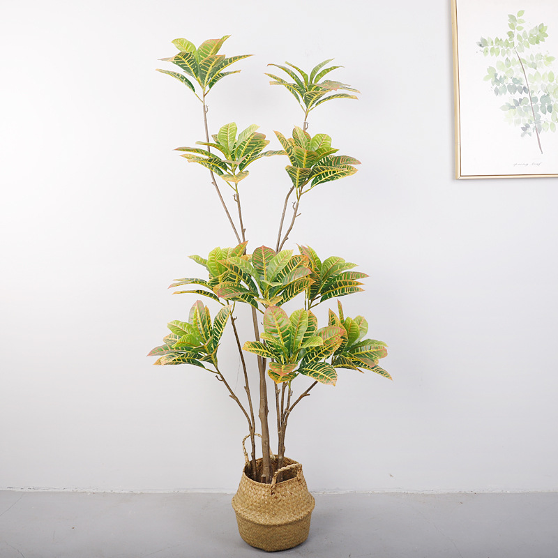 Artificial Golden Variegated Ficus