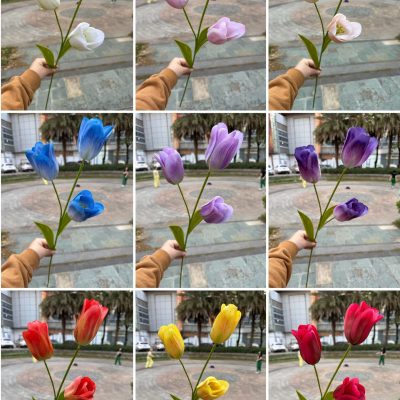 3D Printed Tactile Tulips| 3&5-Bloom