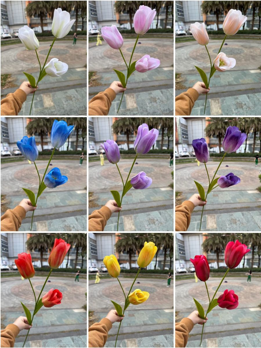 3D Printed Tactile Tulips| 3&5-Bloom