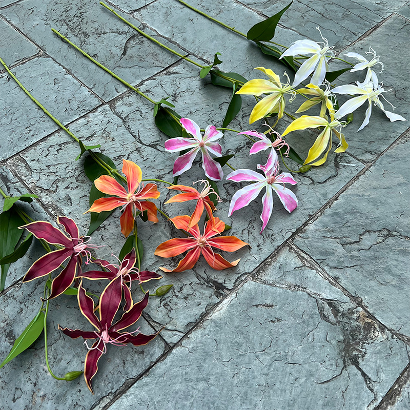 Real-touch Gloriosa Superba