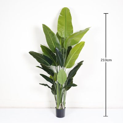 O1CN01C00f3f1g9OWz6Jcc4_!!2712764099-0-cib Faux Traveller's Palm/Canna