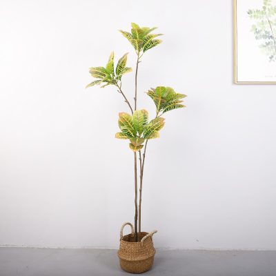 Artificial Golden Variegated Ficus