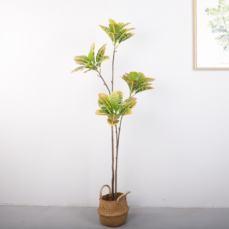 Artificial Golden Variegated Ficus