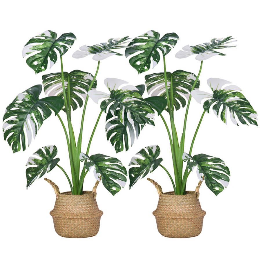 Artificial Monstera Deliciosa