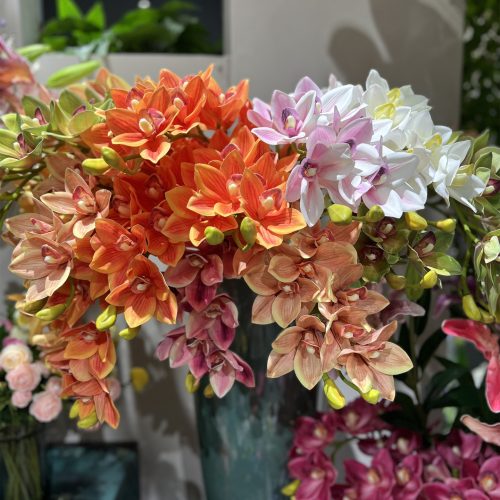 10-Bloom Real-Touch Cymbidium Orchid