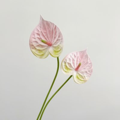 O1CN01Es3An41mXZ65PqchC_!!2212877874964-0-cib Wholesale PU Anthurium| Ultra-Realistic 3D Texture