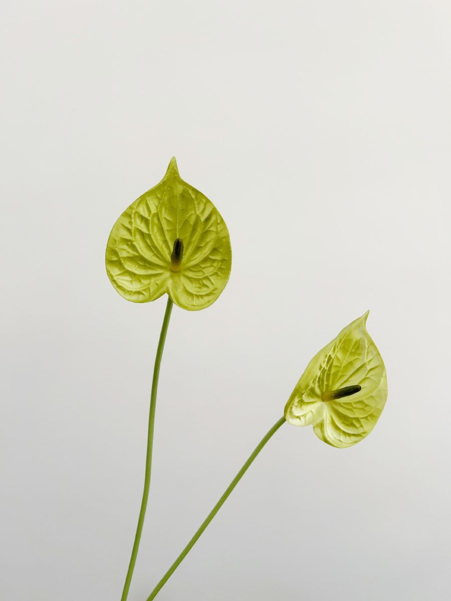 O1CN01FyEDWG1mXZ63NLQJH_!!2212877874964-0-cib Wholesale PU Anthurium| Ultra-Realistic 3D Texture
