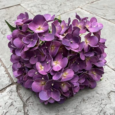15 Color Options| 5-Headed 3D Real Touch Hydrangea