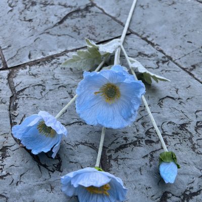 4-Bloom Poppy| Moisture-Lock Petals