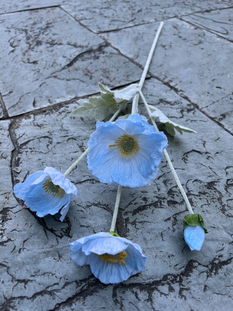 4-Bloom Poppy| Moisture-Lock Petals