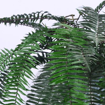 Artificial Persian Fern