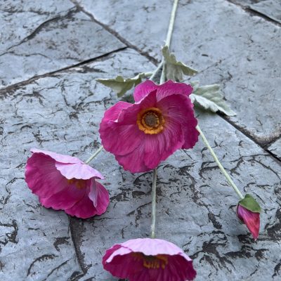 4-Bloom Poppy| Moisture-Lock Petals