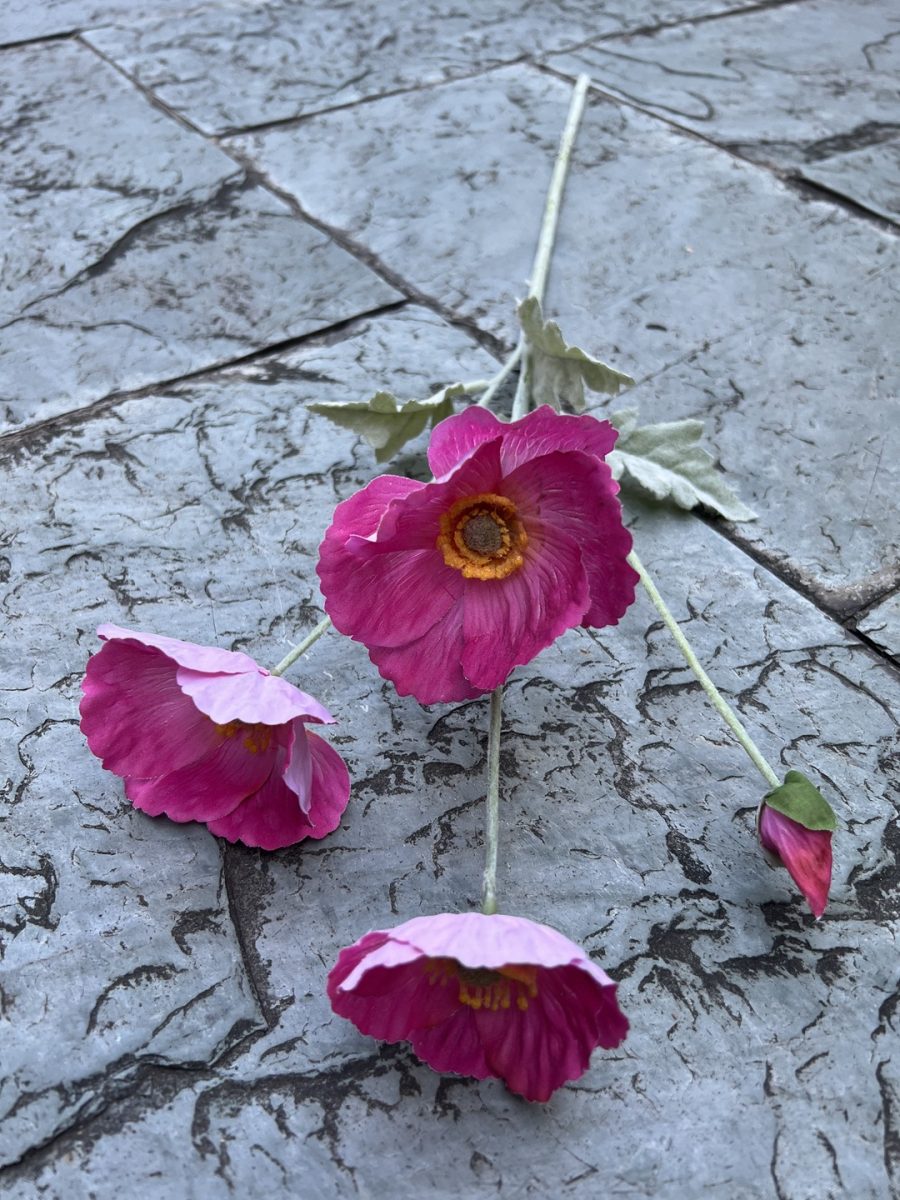 4-Bloom Poppy| Moisture-Lock Petals