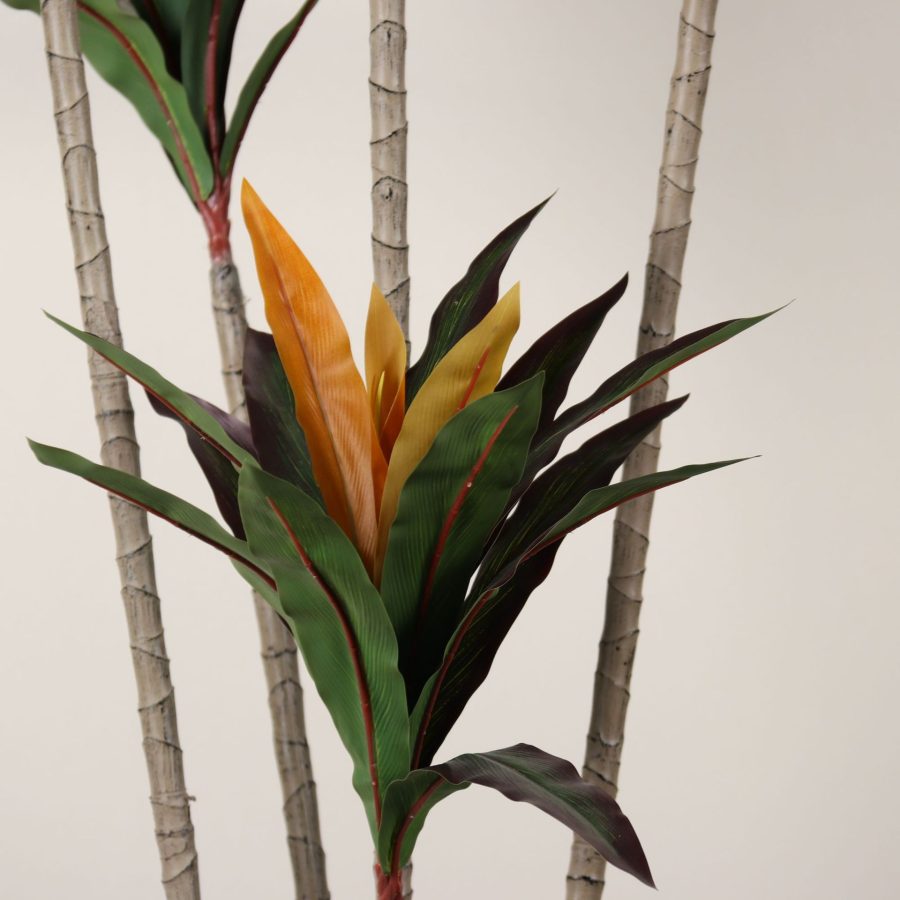 Faux Dracaena Fragrans/ Corn Plant