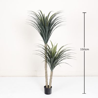 Artificial Dragon Tree