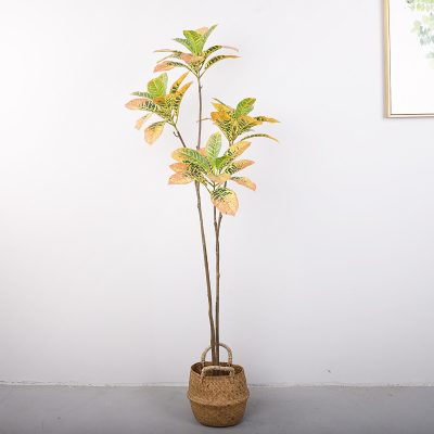 Artificial Golden Variegated Ficus