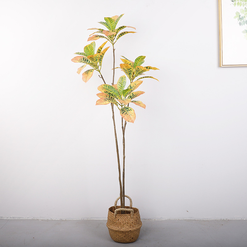 Artificial Golden Variegated Ficus