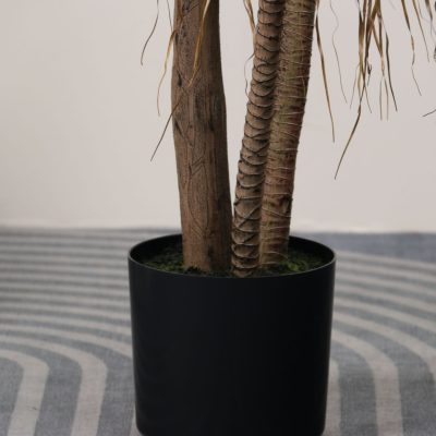 Artificial Yucca Tree