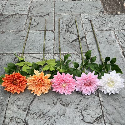 Moisturizing Hand-Feel Dahlia Stems