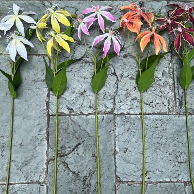 Real-touch Gloriosa Superba