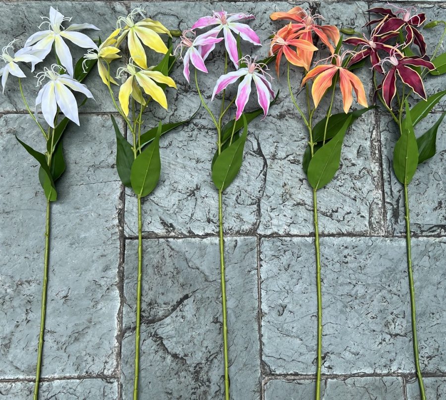 Real-touch Gloriosa Superba