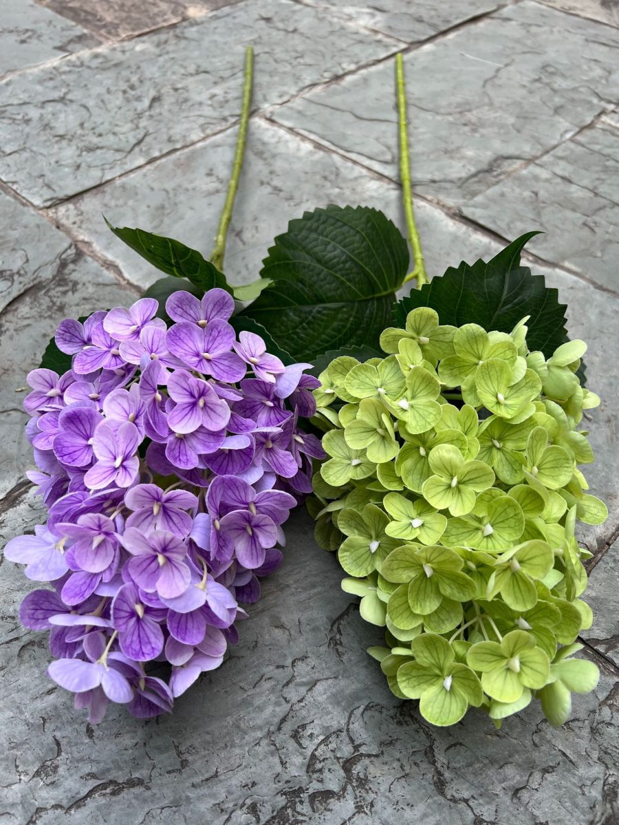 Tactile Pagoda Hydrangea
