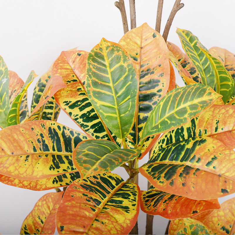Artificial Golden Variegated Ficus