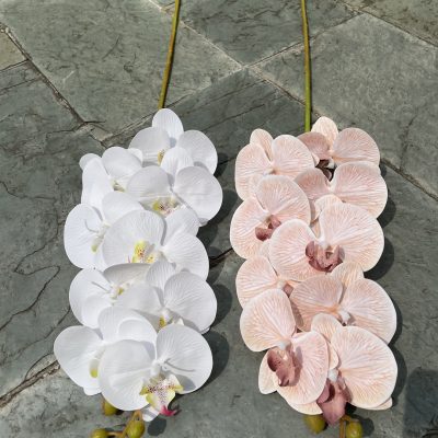 9-Bloom 3D Real-Touch Moth Orchids