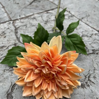 Moisturizing Hand-Feel Dahlia Stems
