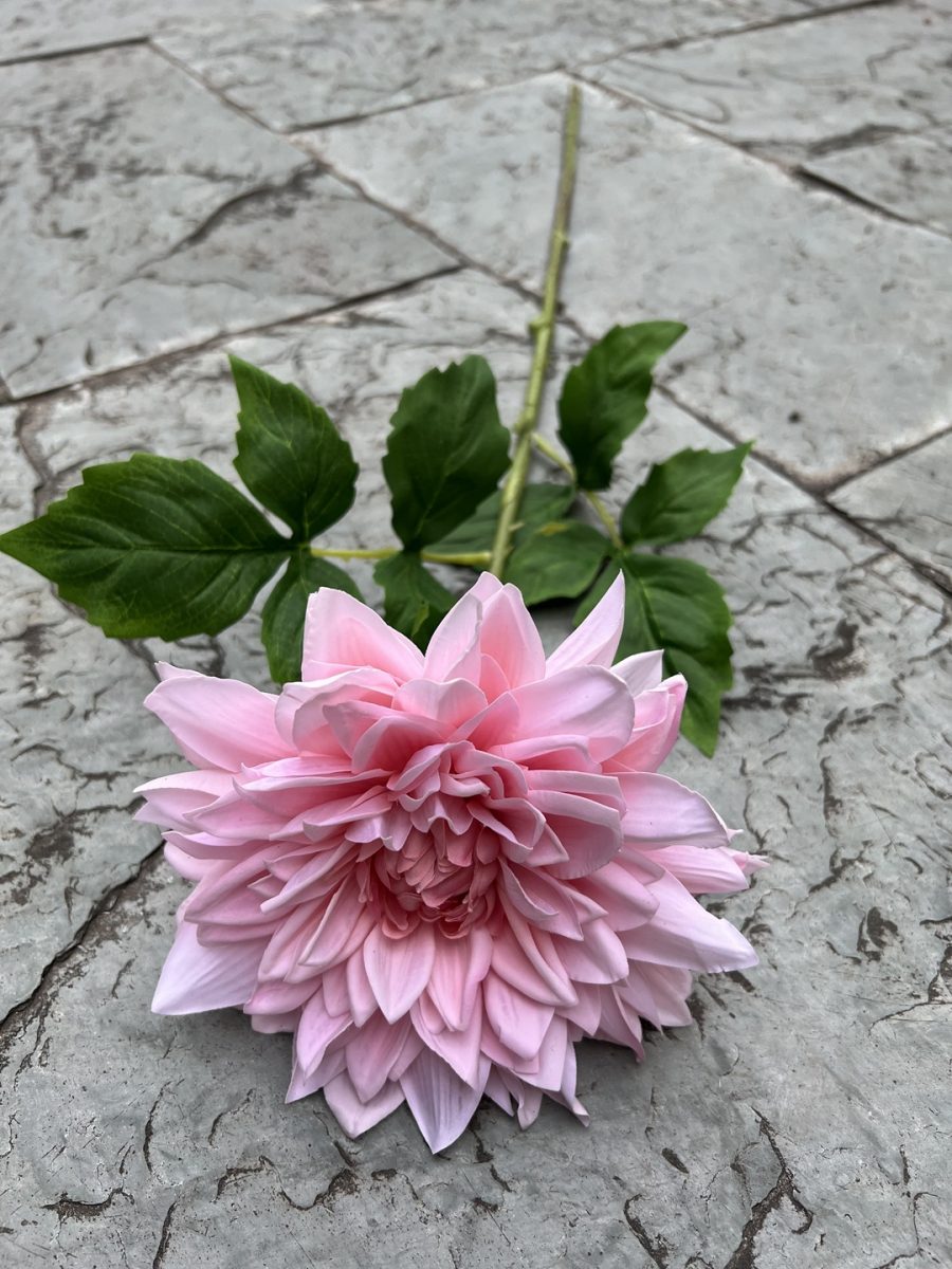 Moisturizing Hand-Feel Dahlia Stems