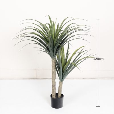 Artificial Dragon Tree
