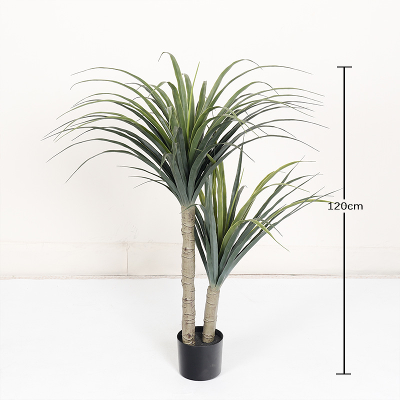 Artificial Dragon Tree