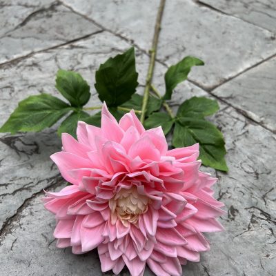 Moisturizing Hand-Feel Dahlia Stems