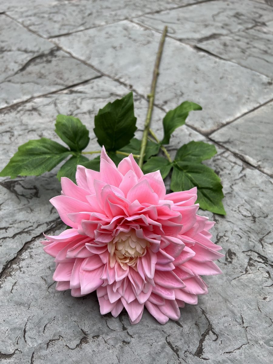 Moisturizing Hand-Feel Dahlia Stems