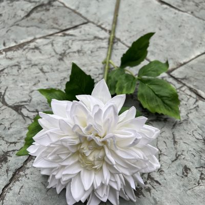 Moisturizing Hand-Feel Dahlia Stems