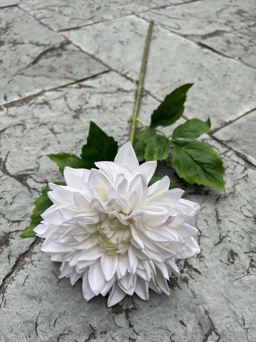 Moisturizing Hand-Feel Dahlia Stems
