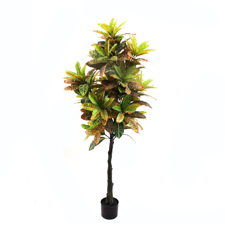 Artificial Golden Variegated Ficus