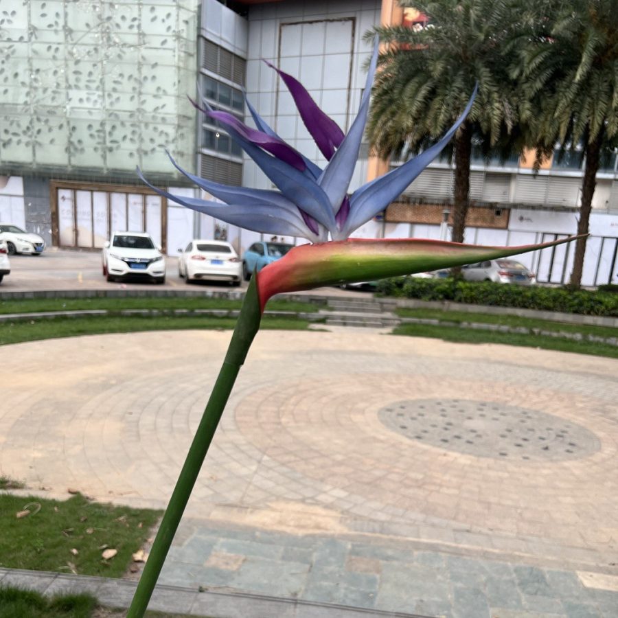 5 Color Options| Real Touch Artificial Bird of Paradise