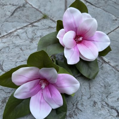 2-Bloom Real-Touch Magnolia